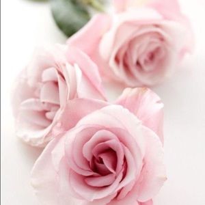 Meet your Posher, Aura